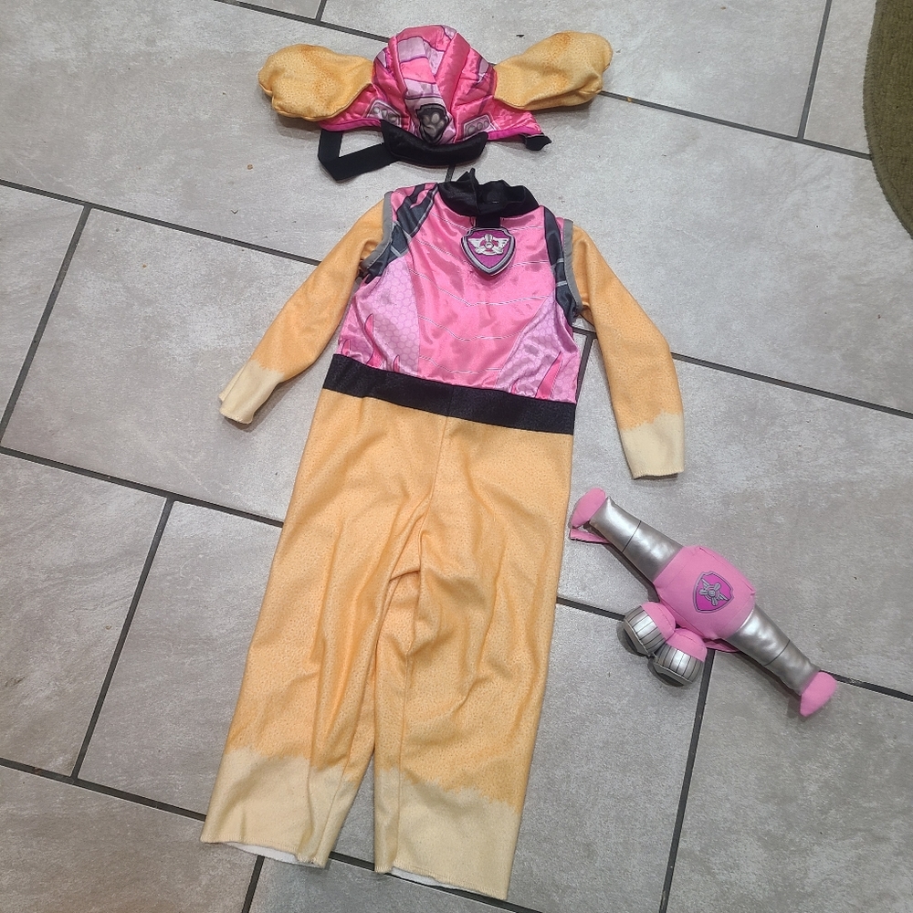 Skye Paw Patrol Costume